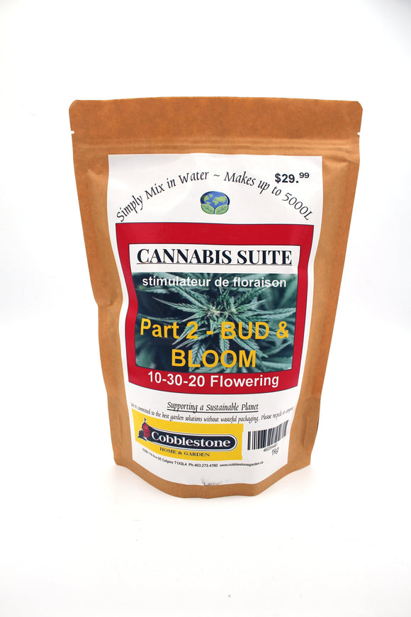 Cannabis Suite Part 2 Bloom