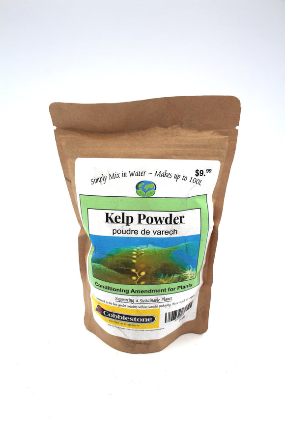 Kelp Powder