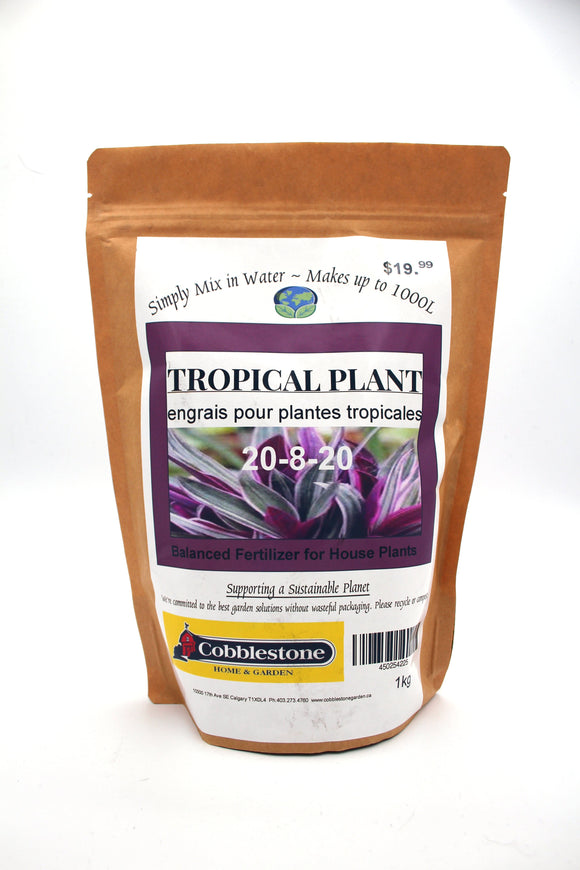 Tropical Plant 20-8-20