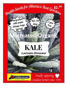 Kale Lacinato Dinosaur