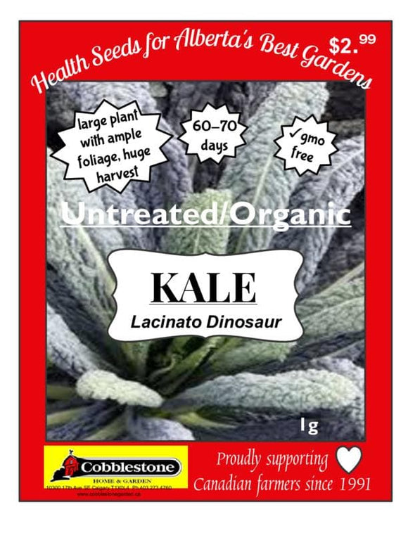 Kale Lacinato Dinosaur