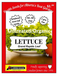 Lettuce Grand Rapids