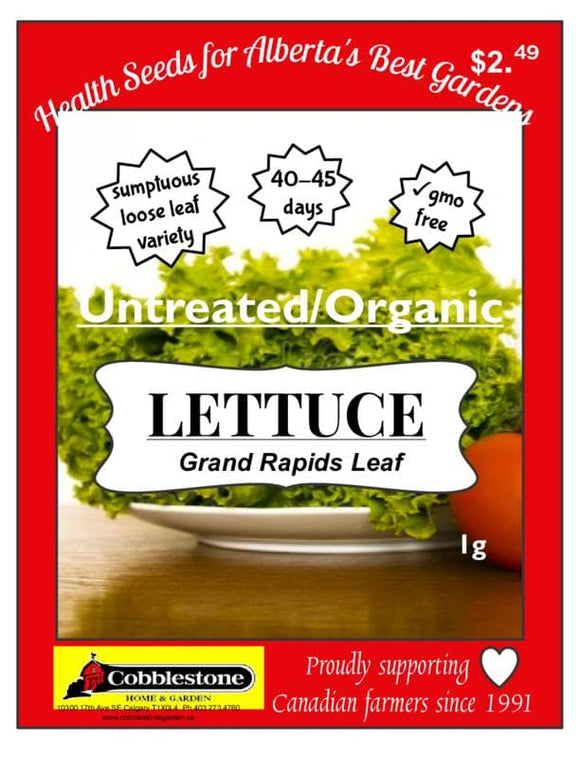 Lettuce Grand Rapids