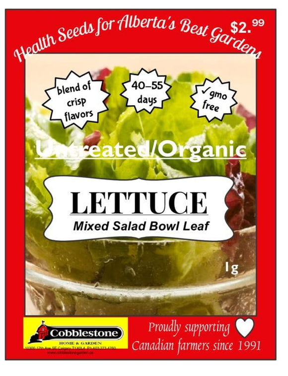 Lettuce Mixed Salad Bowl Leaf