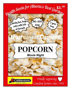 Popcorn Movie Night
