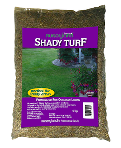 Shady Turf Seed