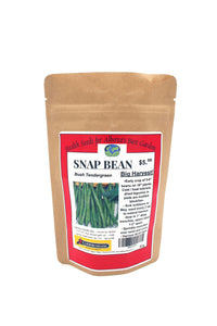 Snap Bean Bush Tendergreen